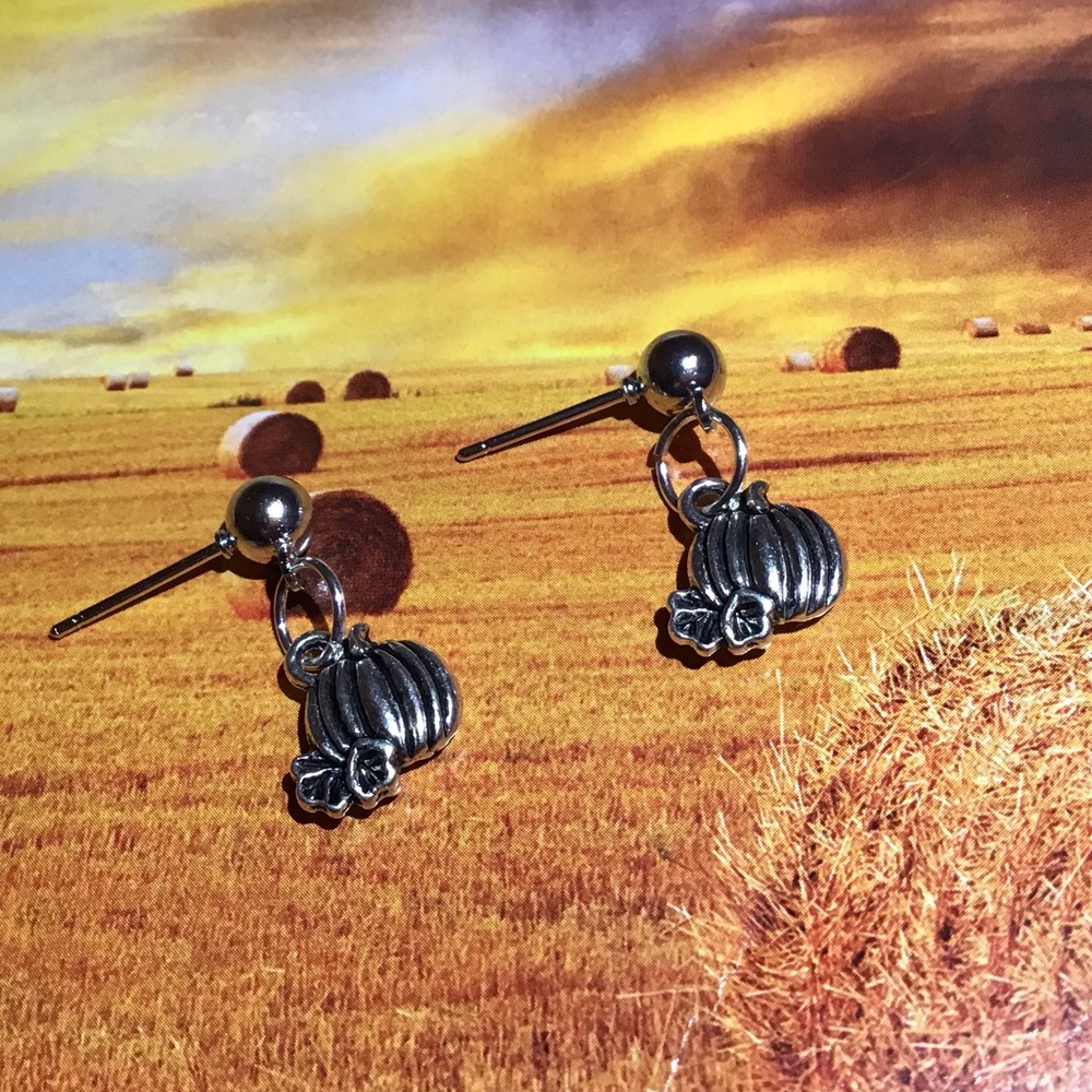 Pumpkin earrings stainless studs silver fall 925